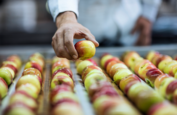 Omar Kassem Alesayi Marketing Company Ltd. (Okam)