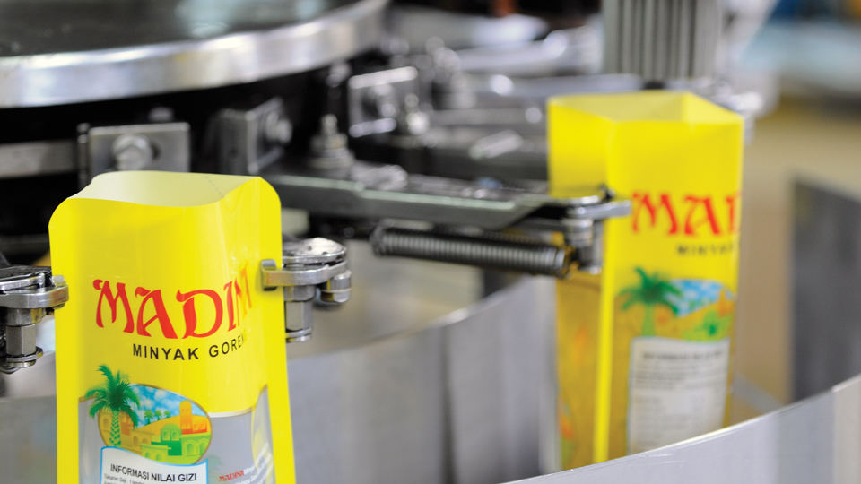 PT. Pacific Medan Industri (PAMIN) 